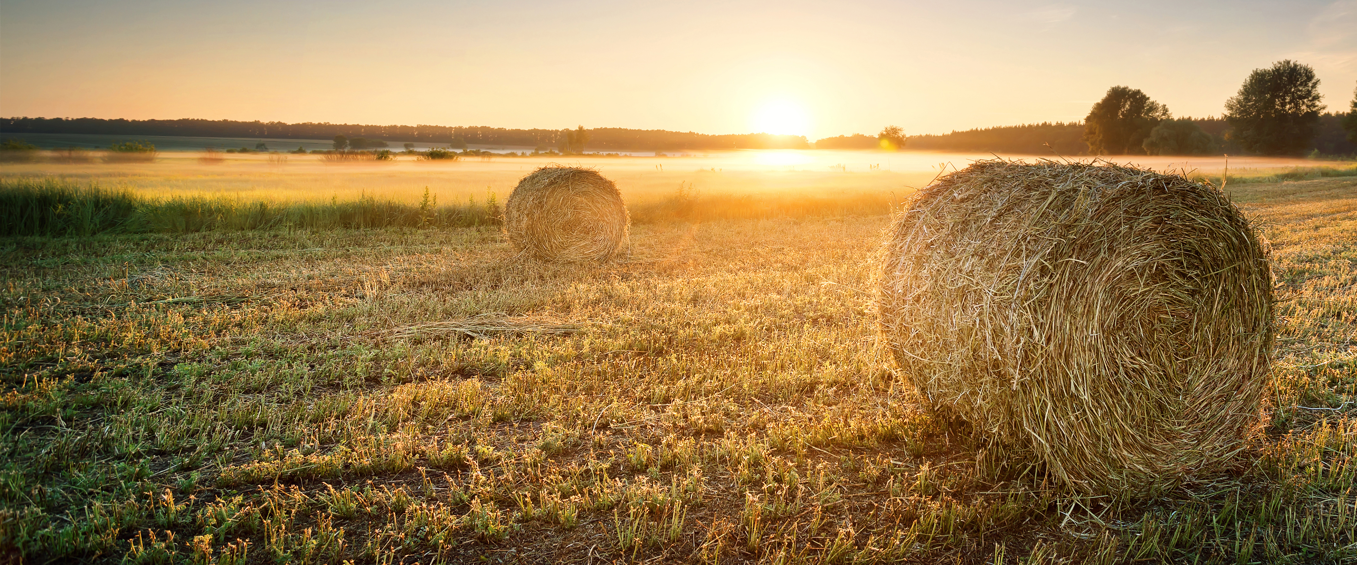 evening sun shining across a golden field, with hey bails in the foreground